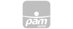 Logo cinza - cliente Pam Saúde