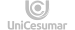 Logo cinza - cliente Unicesuamar
